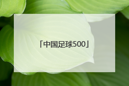 「中国足球500」中国足球彩票网