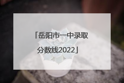 岳阳市一中录取分数线2022