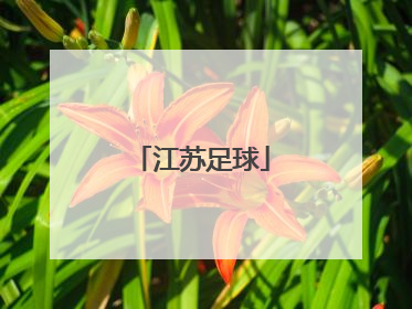 「江苏足球」江苏足球协会官方网站