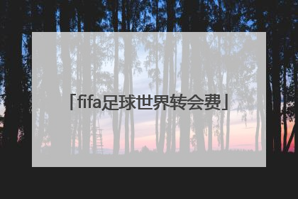 「fifa足球世界转会费」fifa足球世界转会费修改器