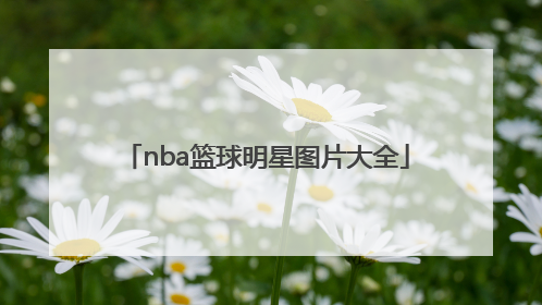 「nba篮球明星图片大全」NBA篮球明星帅气图片